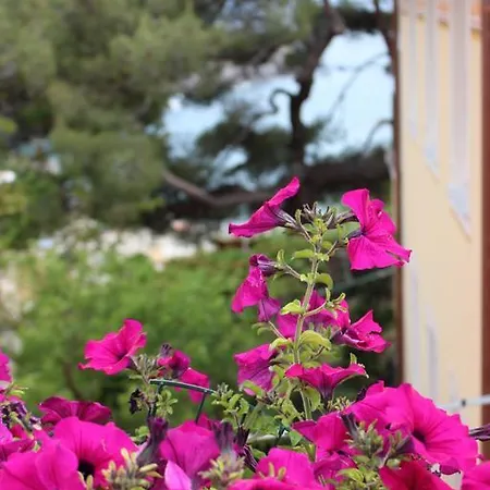 Maison d'hôtes Il Timone Lerta 4*